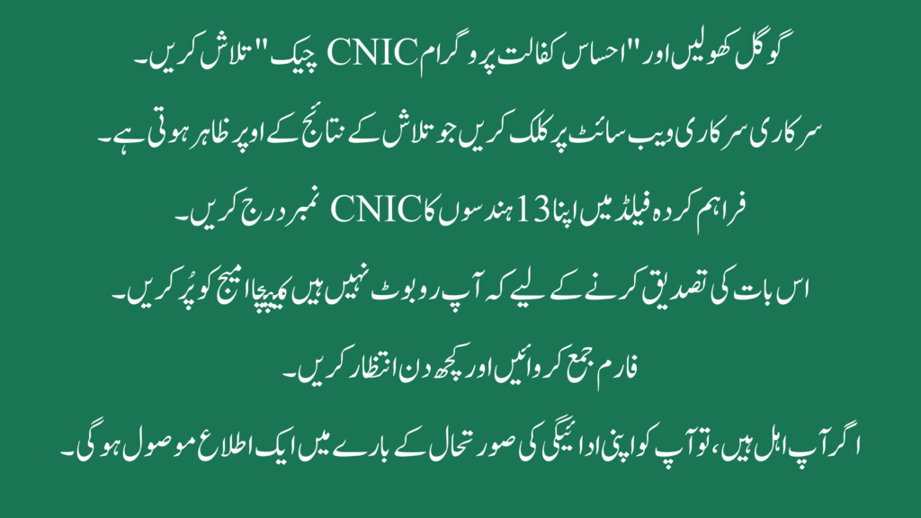 Step-by-Step Method to Check Ehsaas Kafalat Payment via CNIC